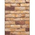 Landscaping Thin Brick Outdoor Tiles 