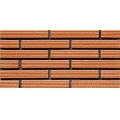Fringed Line Surface Bright Thin Antique Bricks 