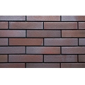 Governmental Building Metallic Color Tile Brick Wall 