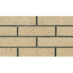 Environmental Clay Thin Brick
