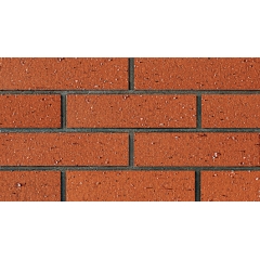 Cold Resistance Thin Brick Veneer