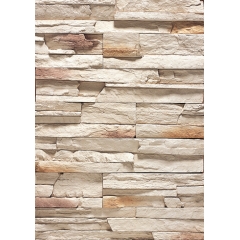 Fake Stone Facade