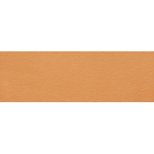 Orange Color Curtain Wall Panel