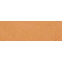 Orange Curtain Wall Panel