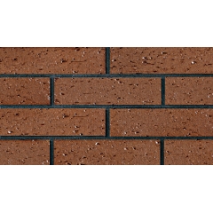 Low Water Absorption Brick Veneer