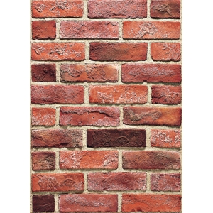 CE Thin Brick Cladding Interior