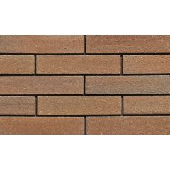 Rustic Color Cladding Bricks