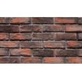 Rustic Artful Thin Facing Brick 