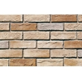 Villa Landscaping External Wall Tiles 