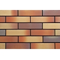 Mortar Fixing Bright Mixed Terracotta Antique Tiles 