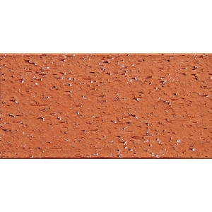 Residential Terracotta Clay Paving Brick Tile